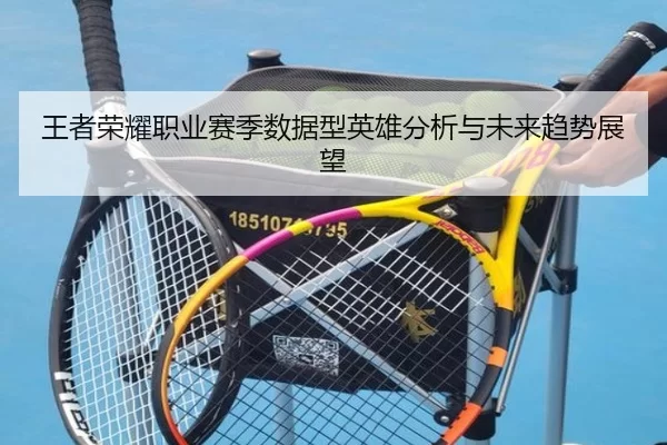 王者荣耀职业赛季数据型英雄分析与未来趋势展望