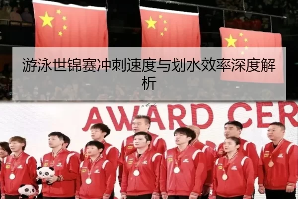 游泳世锦赛冲刺速度与划水效率深度解析